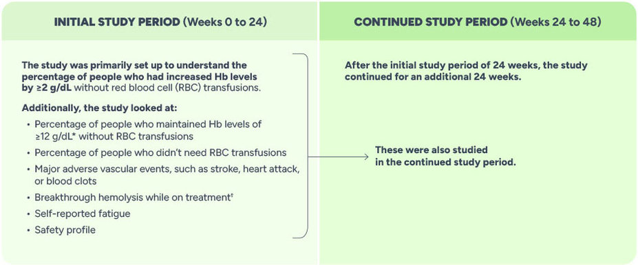 Analysis of the APPOINT study for FABHALTA. Displayed are both the initial and long-term study periods.