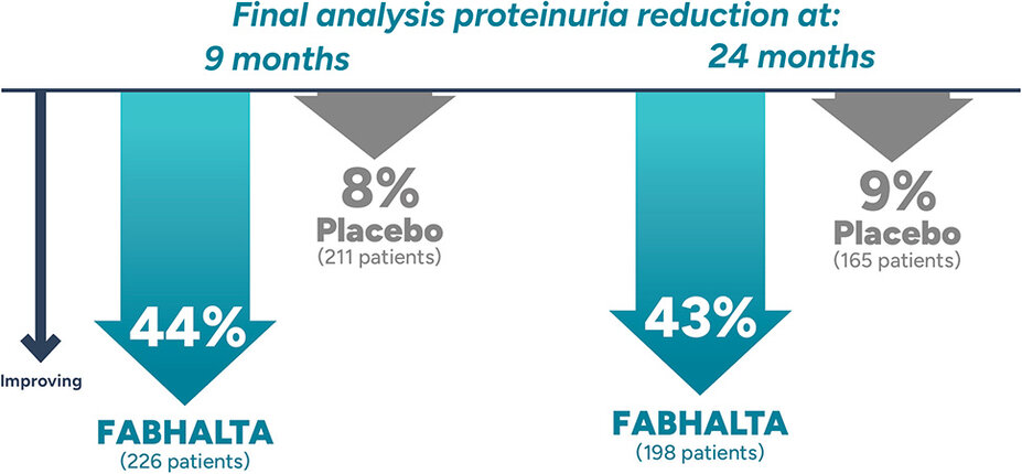 At 9 months, there was a 44% reduction in proteinuria with FABHALTA and a 8% reduction with placebo. At 24 months, there was a 43% reduction in proteinuria with FABHALTA and a 9% reduction with placebo.